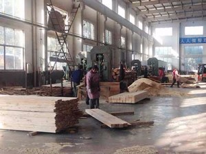 案例展示二